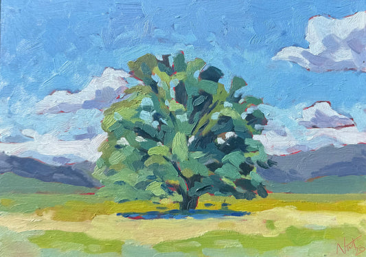 Smoky Mountain Tree | Original Oil Painting |5x7 on Panel